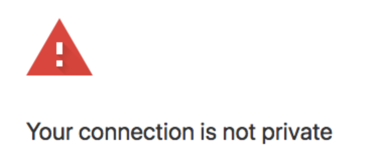HTTPs connection not private warning